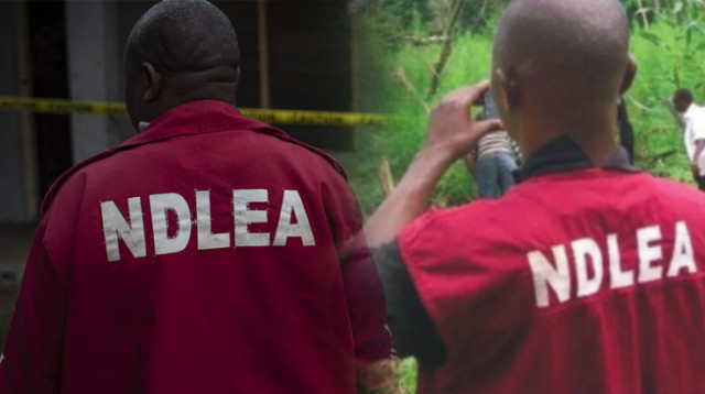 Photo of The operatives of the National Drug Law Enforcement Agency, NDLEA